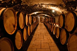 Botes de fusta al celler